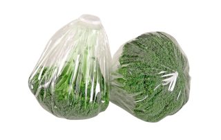 08 Lettuce